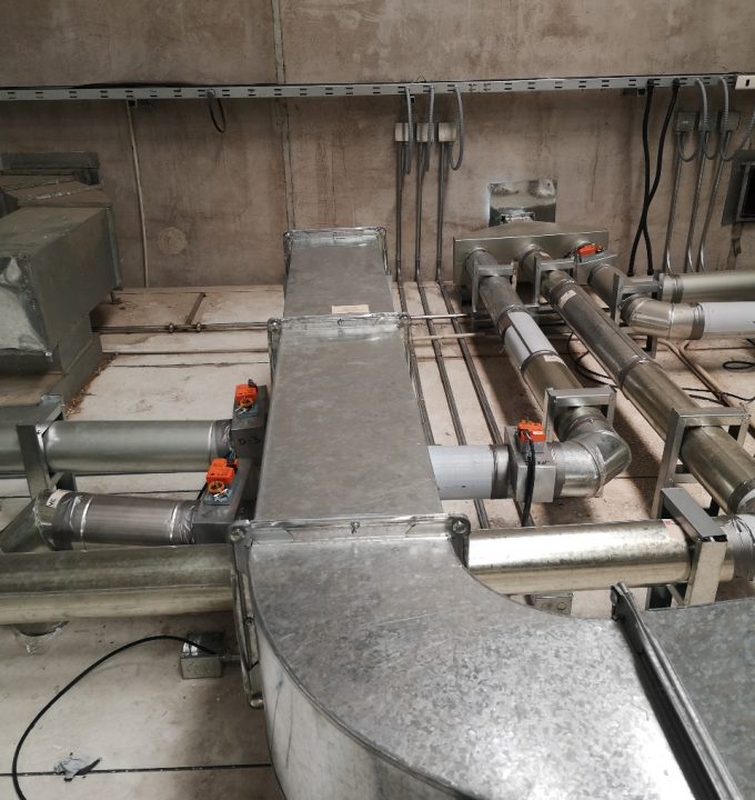 WhatsApp Image 2024-10-08 at 2.46.02 PM